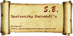 Spalovszky Barnabás névjegykártya